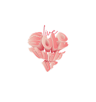 다와요@7:14 로고